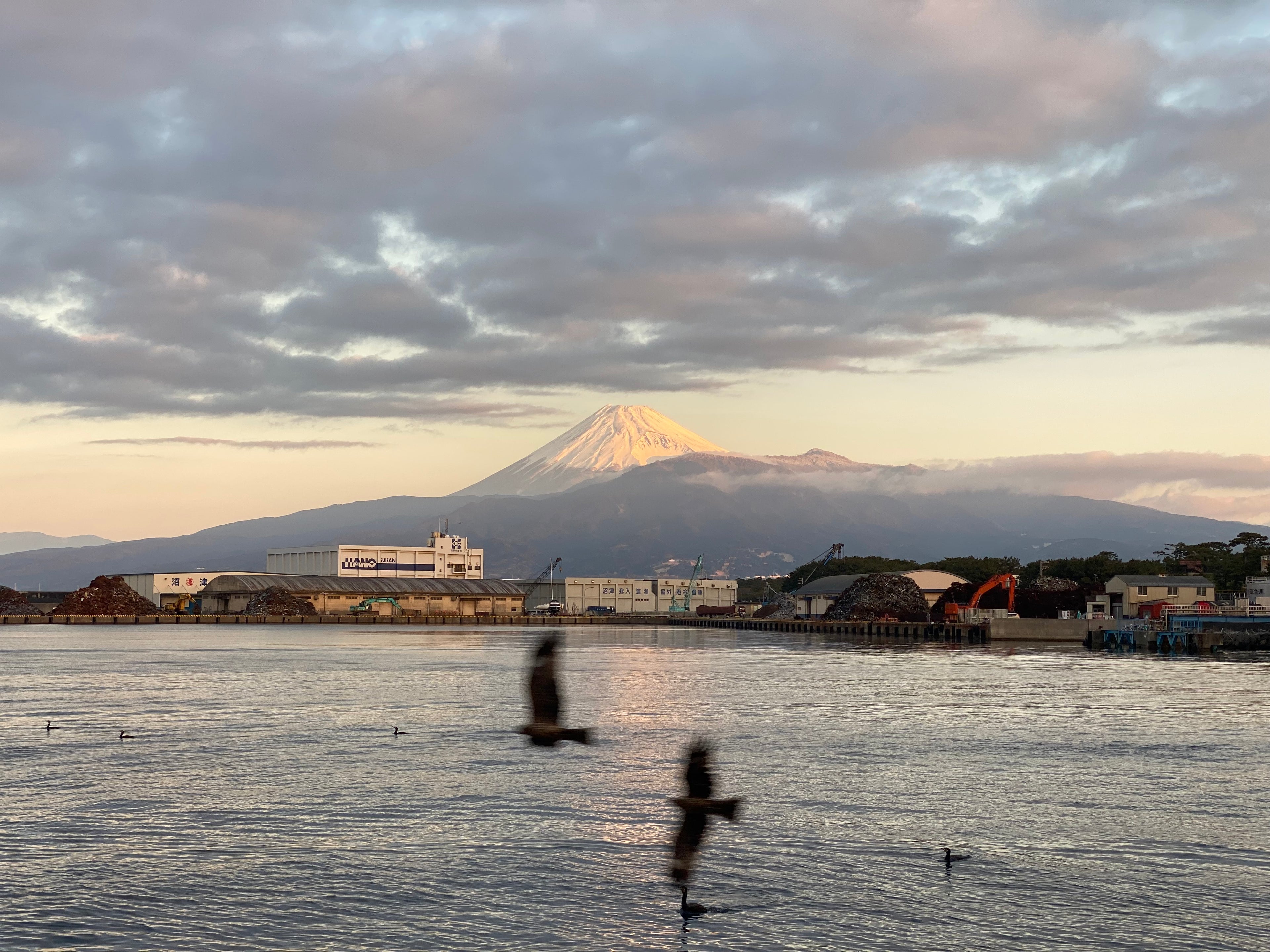 Photo of Mount Fuji taken from a sea side fish market with birds flying over the water 